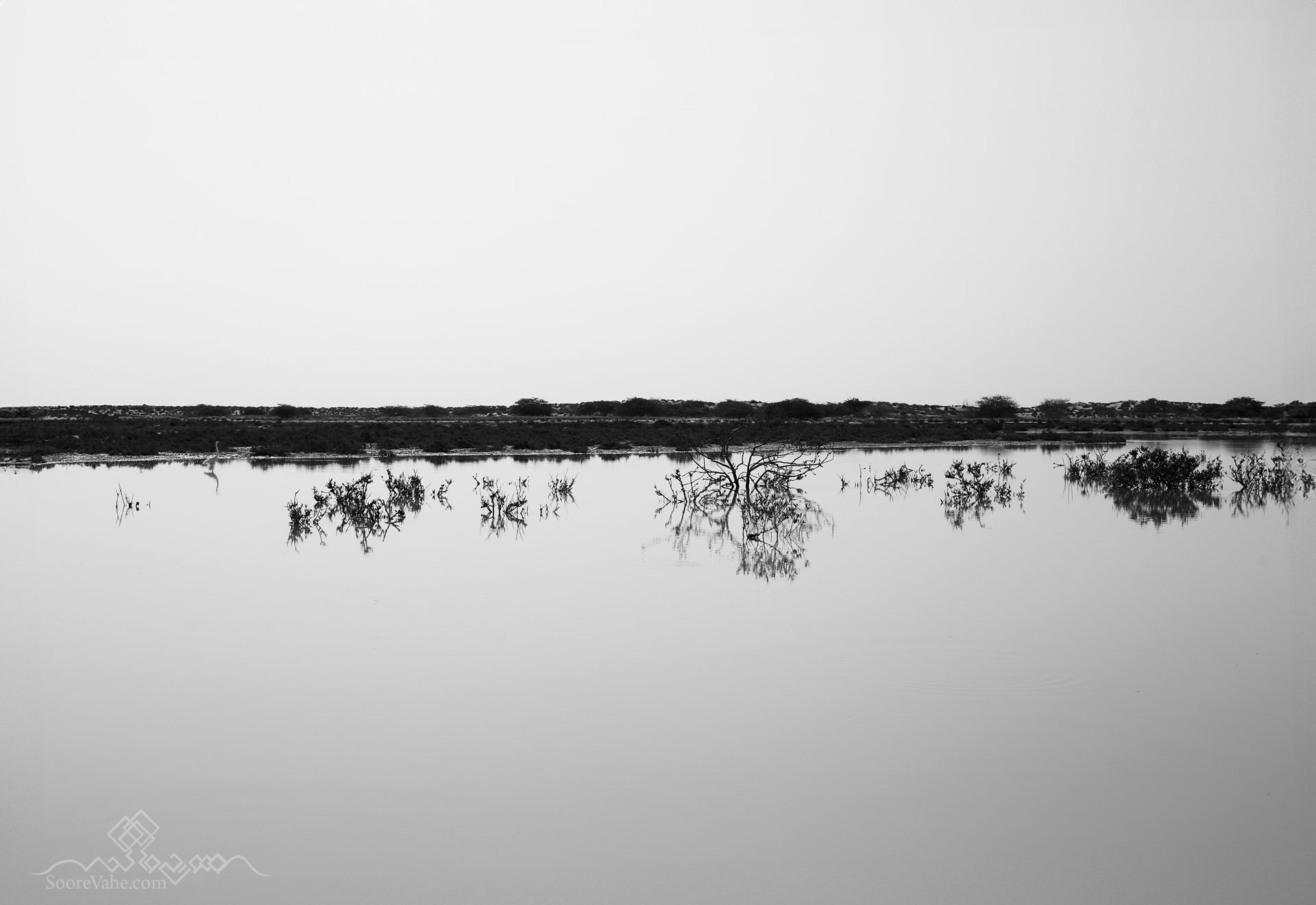 shadow on the water